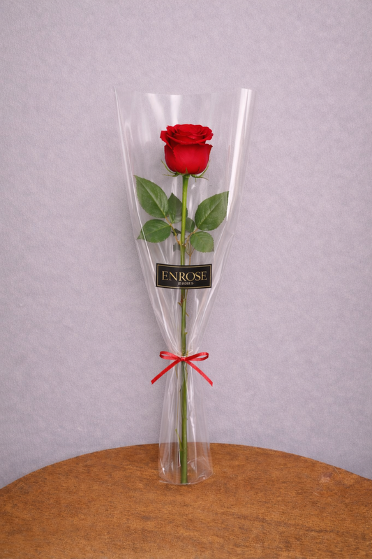 Rosa Vermelha Colombiana