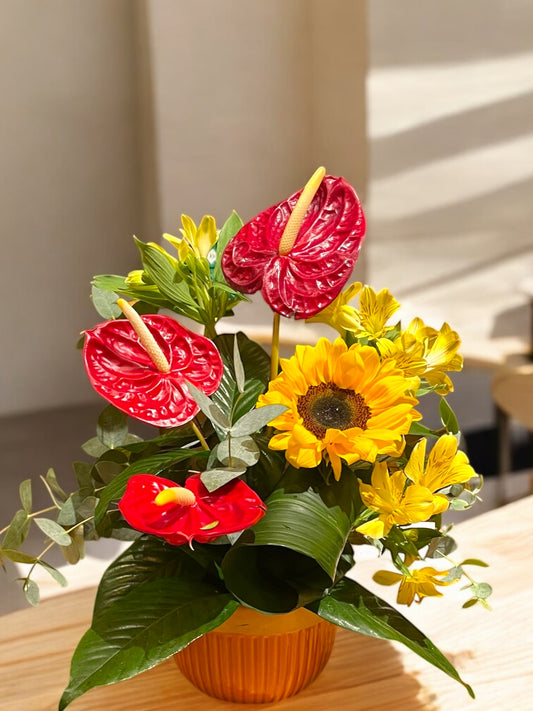 Arranjo Tropical com Antúrios, Girassol e Alstroemérias em Vaso de Cerâmica | ENROSE