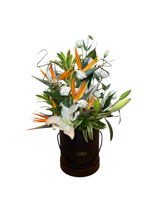 Arranjo Luxuoso com Ave-do-Paraíso e Lírios – Edição Exclusiva ENROSE