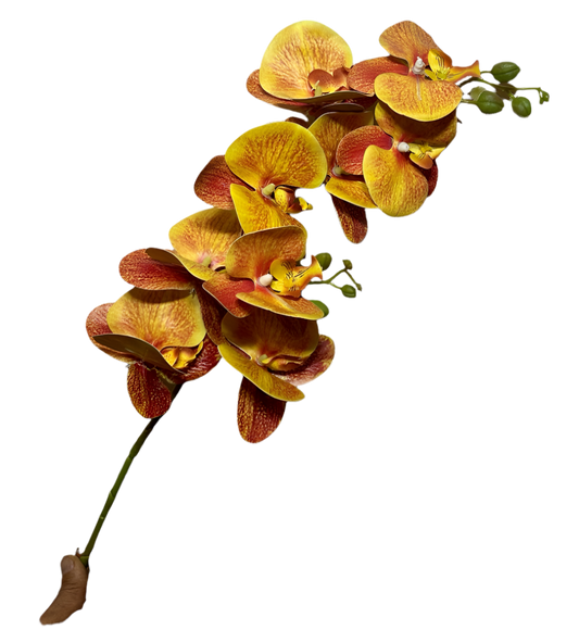 Artificial Orchid