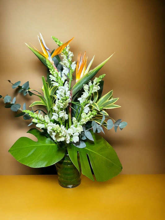 Arranjo natural Boca de Leão