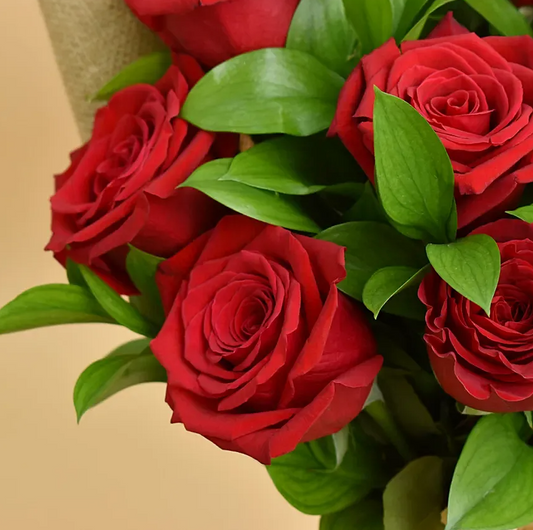 Buquê de 12 Rosas Vermelhas Colombianas - Beleza e Romance