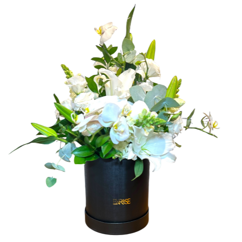 Luxurious Orchid and Lilies Arrangement by ENROSE