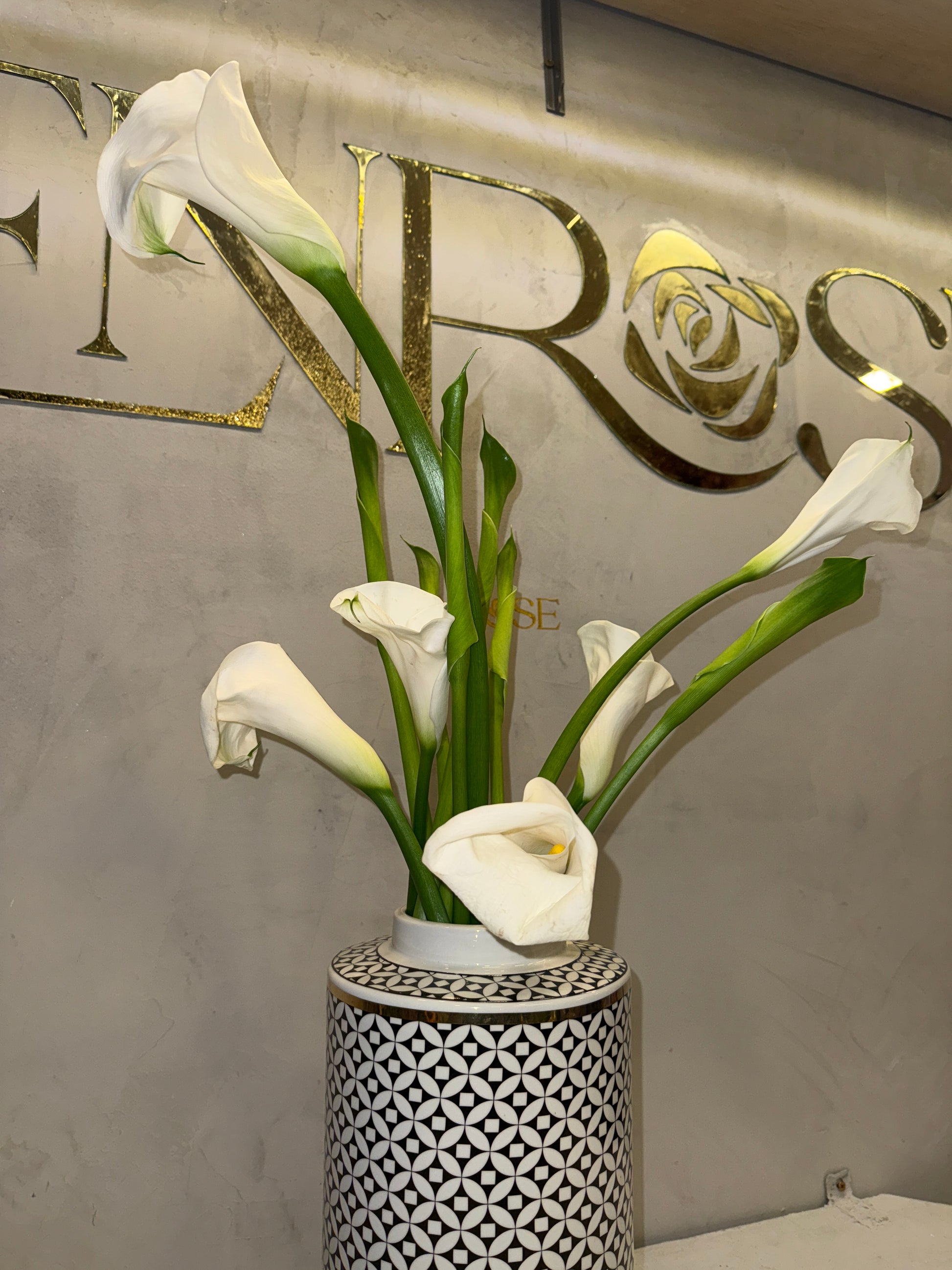 Copo-de-Leite com Vaso de Porcelana