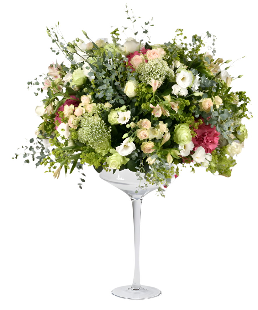Elegância Suprema – enrose ltda