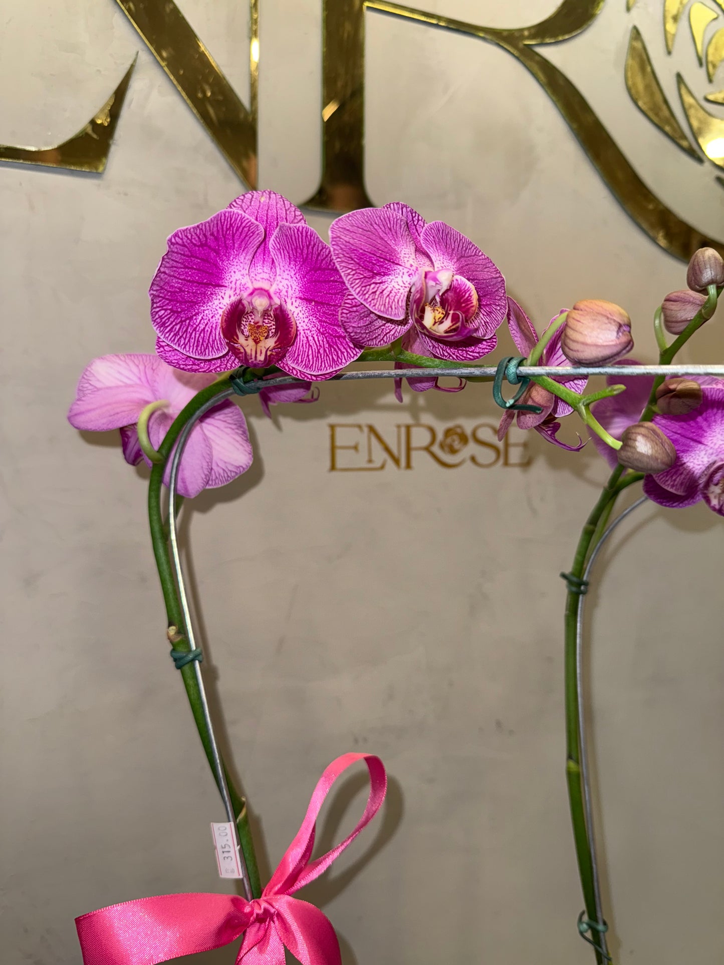 Orquídea Phalaenopsis com duas astes com vaso vidro
