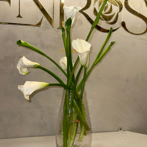 Arranjo de Copo-de-Leite com Vaso de Vidro