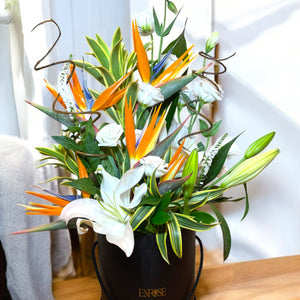 Arranjo Luxuoso com Ave-do-Paraíso e Lírios – Edição Exclusiva ENROSE