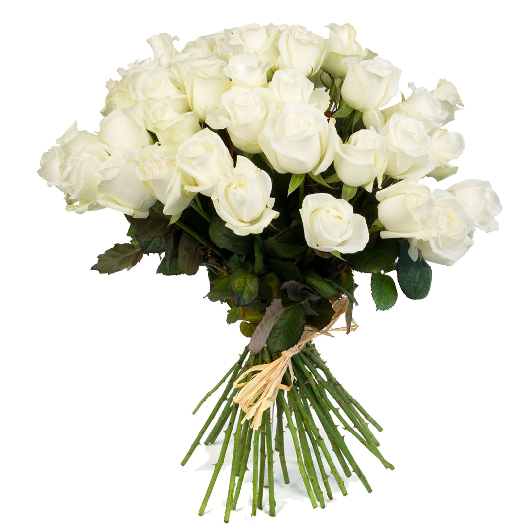 Buquê Inicial 40 Rosas Colombianas Brancas