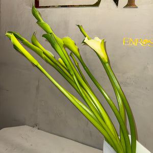 Arranjo de Copos-de-Leite com Vaso Moderno de Cristal