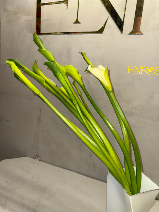 Arranjo de Copos-de-Leite com Vaso Moderno de Cristal