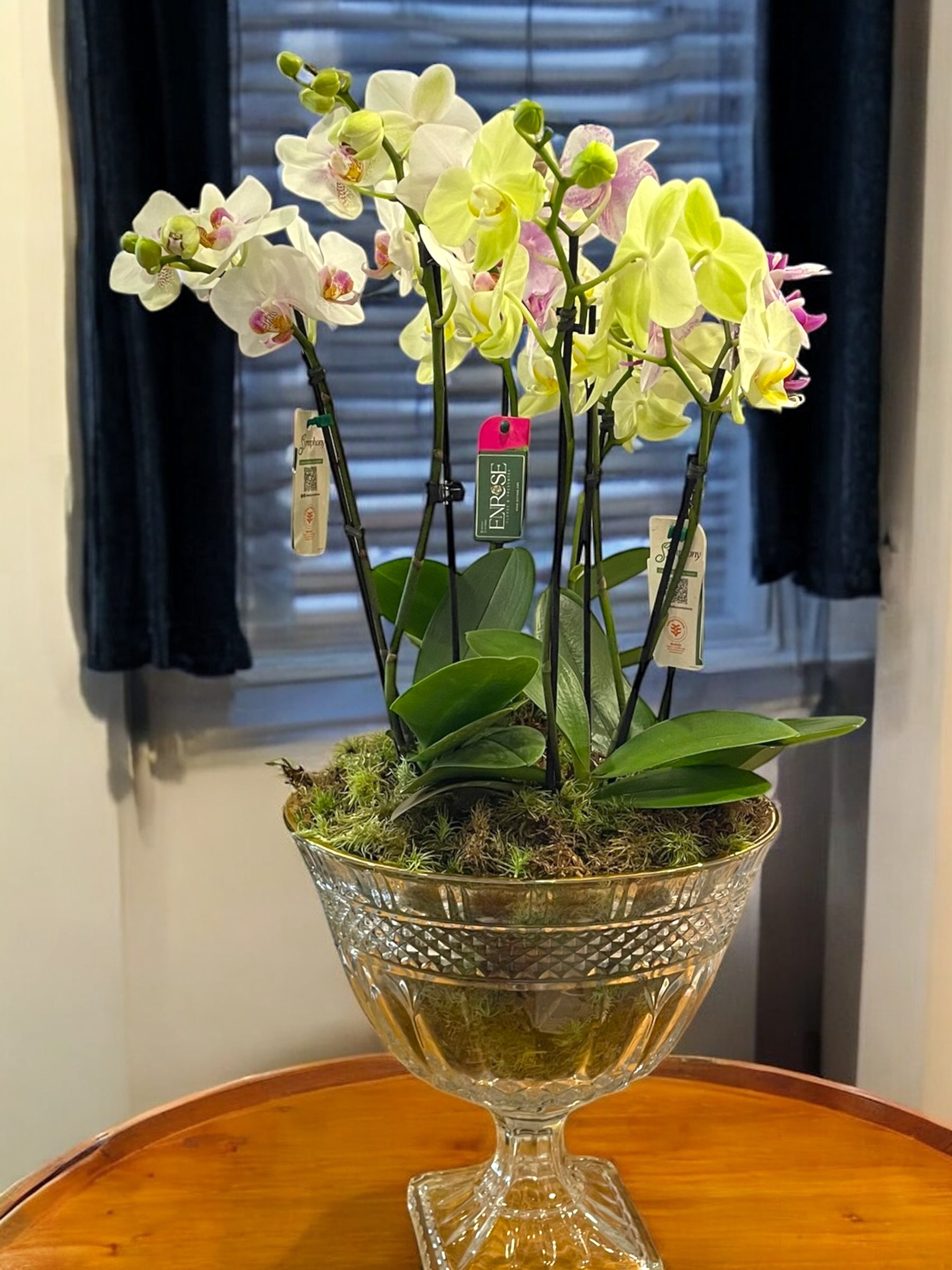 Arranjo Luxuoso com 4 Orquídeas – 8 Hastes em Taça de Vidro Elegante