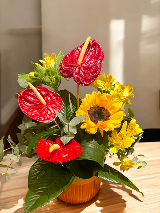 Arranjo Tropical com Antúrios, Girassol e Alstroemérias em Vaso de Cerâmica | ENROSE