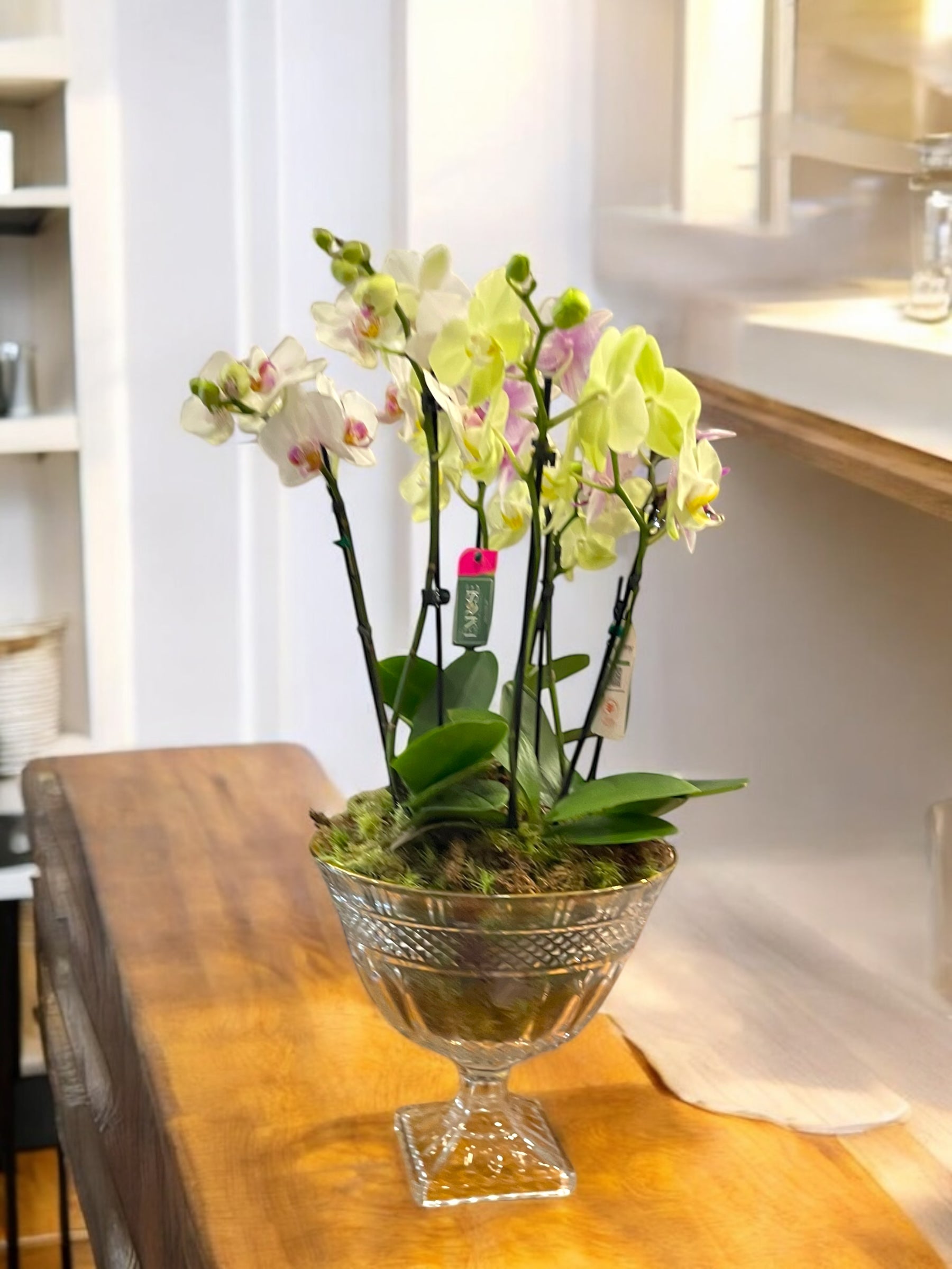 Arranjo Luxuoso com 4 Orquídeas – 8 Hastes em Taça de Vidro Elegante