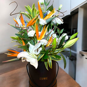 Arranjo Luxuoso com Ave-do-Paraíso e Lírios – Edição Exclusiva ENROSE