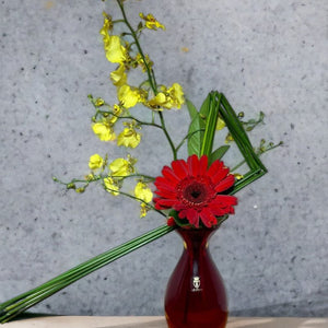 Arranjo Natural com Gerbera e Orquidea em Vaso Cristal Murano