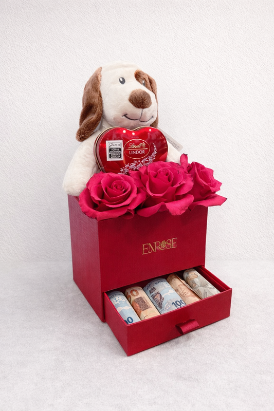 Caixa Presente com Rosas, Pelúcia, Chocolate e Dinheiro