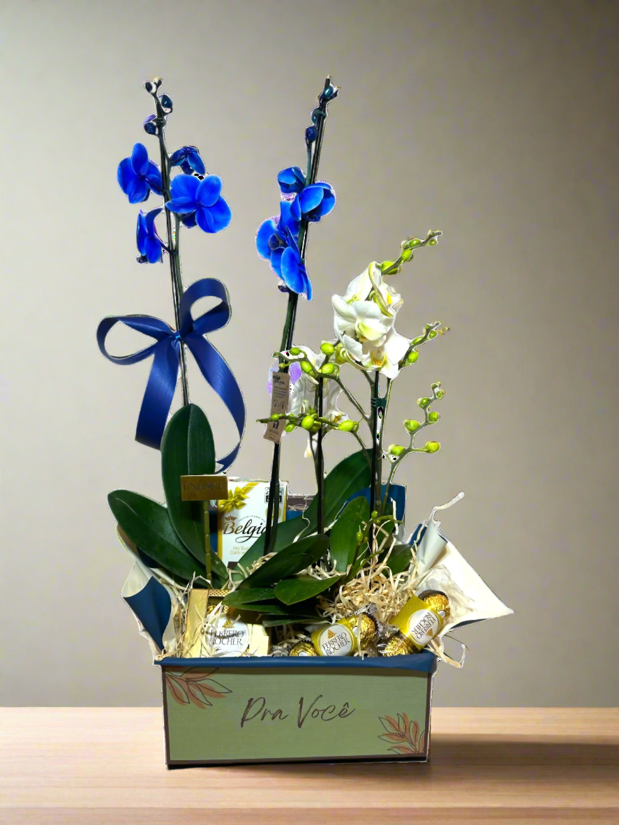 Flores com Chocolate: Cesta de Orquídeas