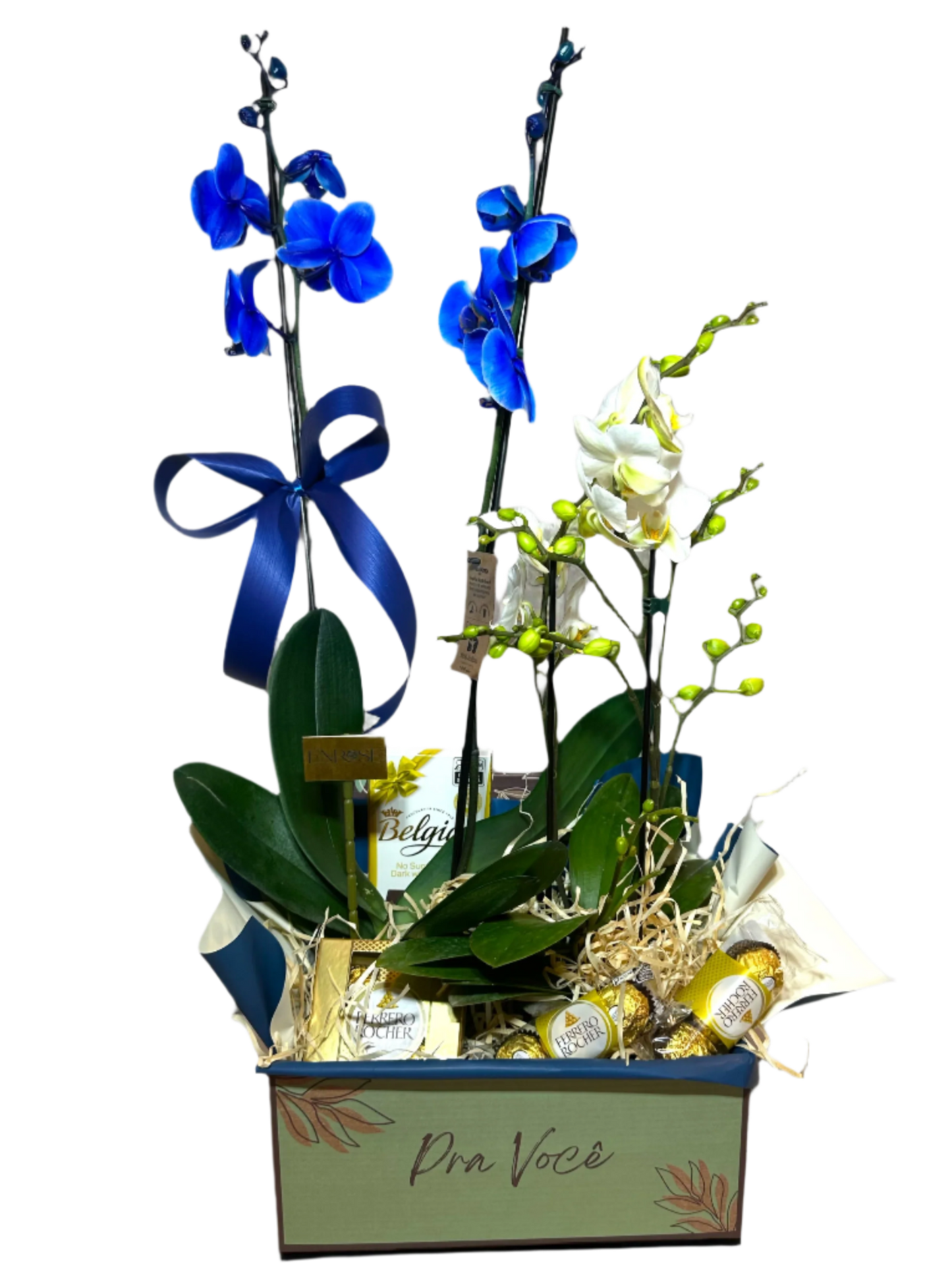 Flores com Chocolate: Cesta de Orquídeas