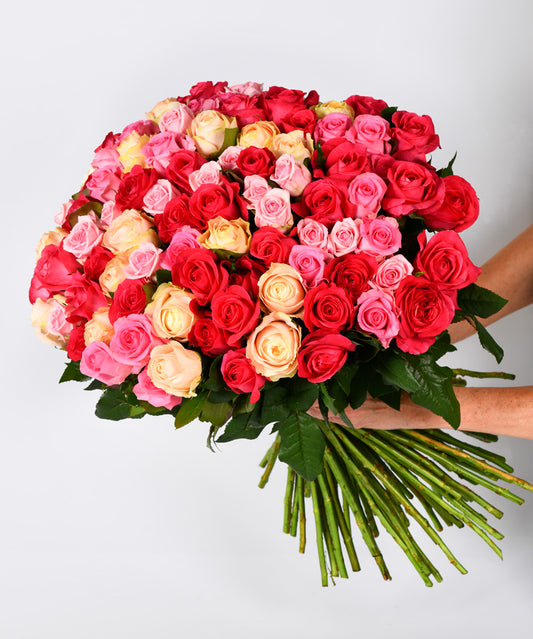 Amor Perfeito (100 Rosas Colombianas)