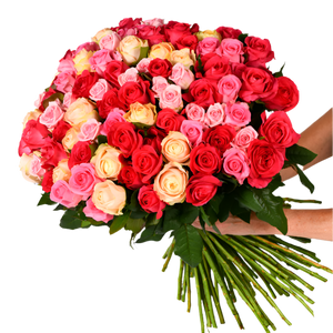 Amor Perfeito (100 Rosas Colombianas)