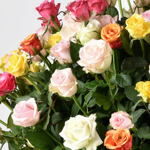 Jardim de 150 Rosas Coloridas