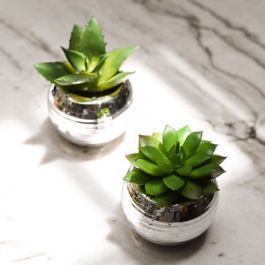 Mini Cachepot with Artificial Succulent Unit