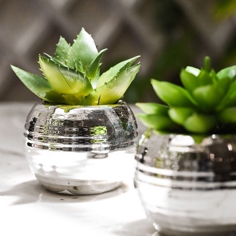 Mini Cachepot with Artificial Succulent Unit