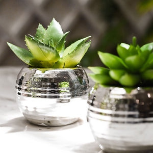Mini Cachepot with Artificial Succulent Unit