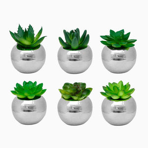 Mini Cachepot with Artificial Succulent Unit